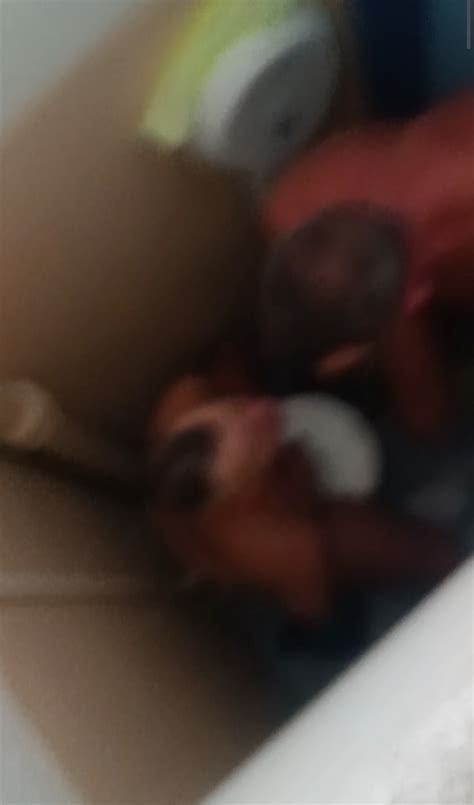 Toilet Gay Hook Up Caught Short ThisVid