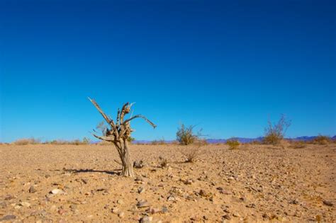 effects  climate change  stock photo public domain pictures