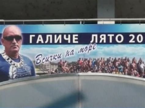 Ценко Чоков със собствено стадо с 35 диви животни - България - Vesti.bg