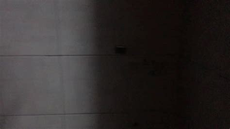 Paja Gay Porn XHamster