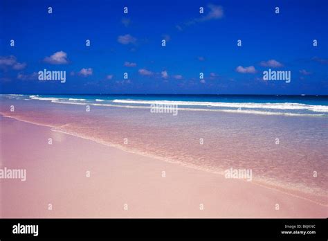 Pink Sand Beach, Harbour Island, Bahamas Stock Photo - Alamy