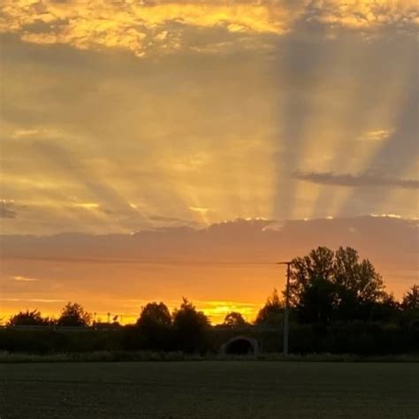 German Mature Wichst Schwanz Wanking Jerking Xhamster