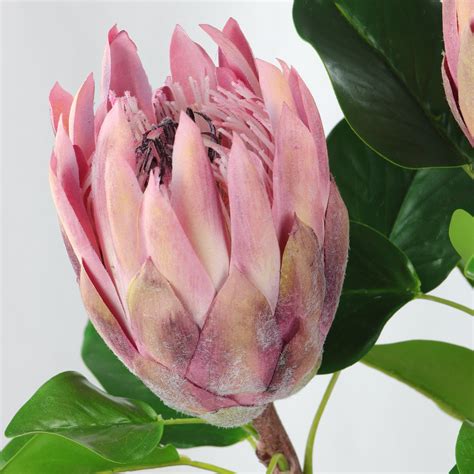 Rinlong Artificial Protea Cynaroides Silk Flower For Floral