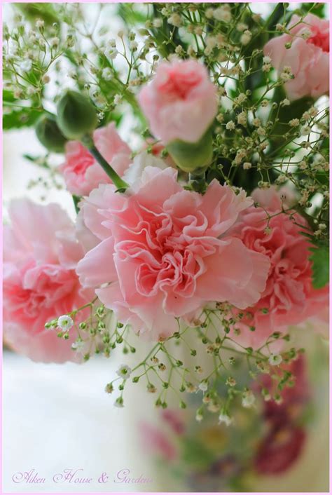 Aiken House & Gardens: Soft & Delicate