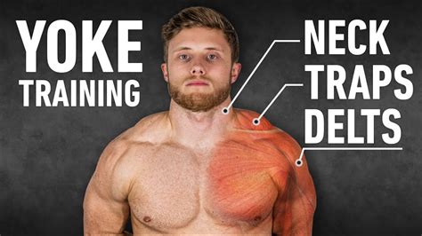 YOKED: The Ultimate Trap, Neck and Delt Workout (Science-Based)