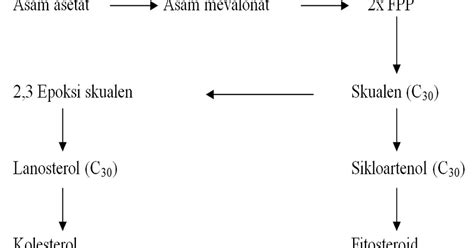Kampus Farmasi Steroid