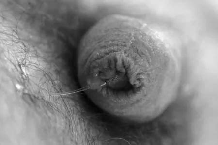 Austrian Gay Porn Pics Real Austria Sex Photos XHamster