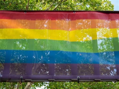 Gay Pride Rainbow Flag Against Trees Stock Image Image Of Symbol Blur