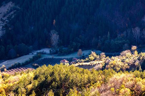 Кормисош - Евгени Динев