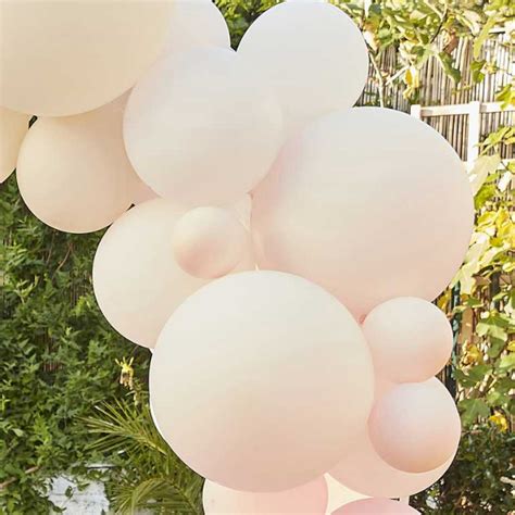 Party Camel Nude And Pink Balloon Arch Kit