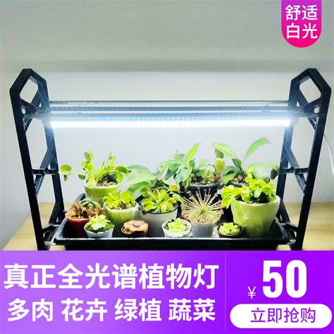 多肉补光灯植物灯上色全光谱led生长灯家用室内花卉保温室花暖房虎窝淘