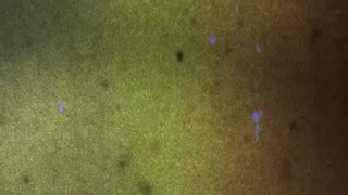 Tgirls Porn Ready For Fun Xxx Mobile Porno Videos Movies IPornTV Net