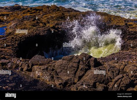 Thors Well Oregon Coast Stock Photo Alamy