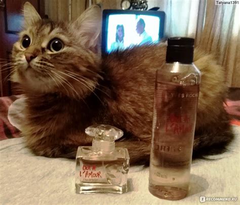 Ив Роше / Yves Rocher "Несколько нот любви" - «Женственный аромат ...