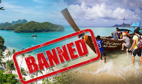 Vietnamese Bikini Airline With Sexy Flight Attendants Launches New Route Travel News