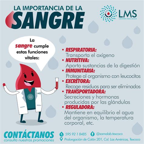 Laboratorio Médico Samalab - La Importancia de la Sangre