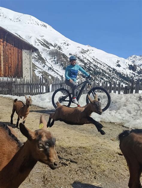 Bekannte Mountainbikerin Wird Neue Moustache Markenbotschafterin