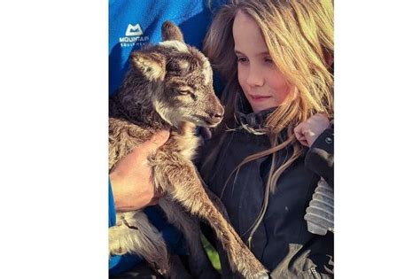 Peterborough Attractions Welcome First Newborn Lambs Of The Year