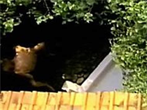 Suzee Pai Nude Pics Videos Sex Tape