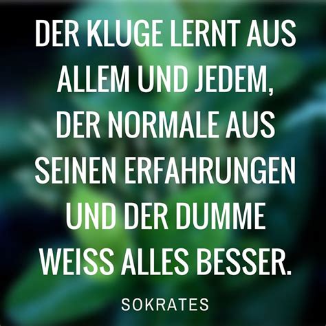 Aus Fehlern Lernt Man Spruch DE Spruch