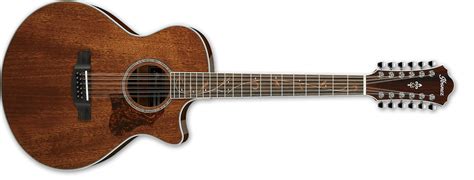Акустическая 12-струнная гитара IBANEZ AE2412 NT - купить в Одессе ...