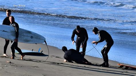 Shark attack survivor speaks out from hospital bed - Good Morning America