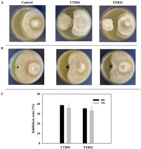 Microorganisms Free Full Text Characterization Of Bacillus