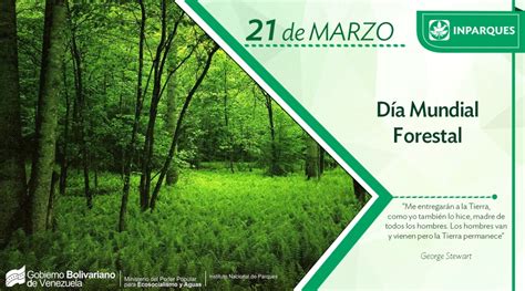 Día Mundial Forestal reconocimiento al pulmón que limpia diariamente