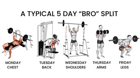 What Is A Bro Split 4 Or 5 Day Examples Inspire US