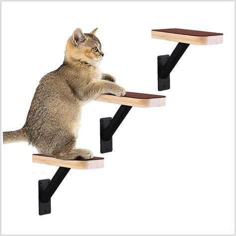 Cat Wall Climbers Uk at Sherry Powers blog