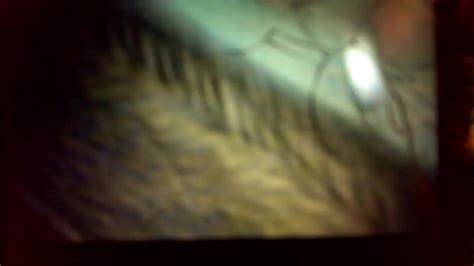 Trio Con Esposa Search XVIDEOS