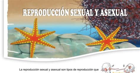 Biotab Características Y Diferencias Entre La Reproducción Sexual Y