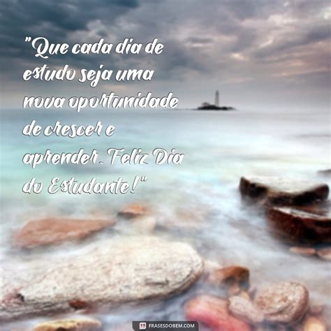 Mensagens Inspiradoras para Celebrar o Dia do Estudante - Frases do Bem