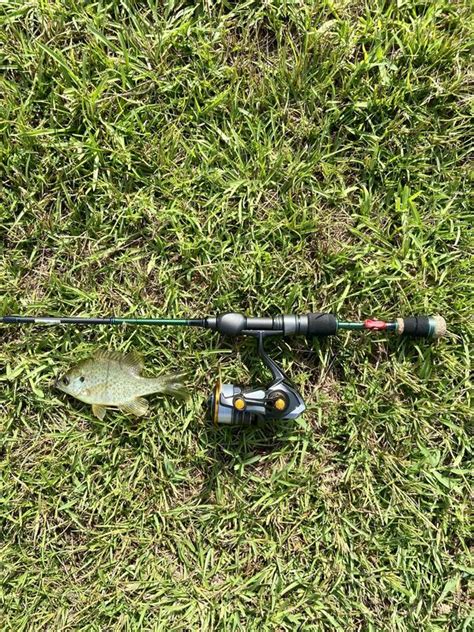 Shimano Soare XR c2000sspg , Daiwa 21 Presso LT 1000s revisited