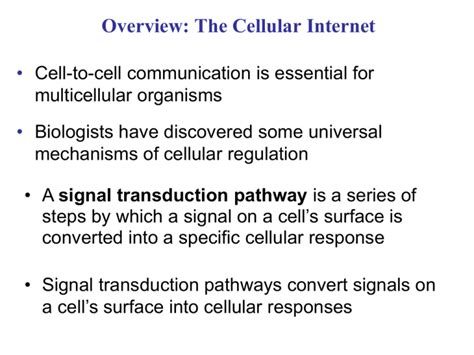 Cellular Communication And Signal Transduction Presentation