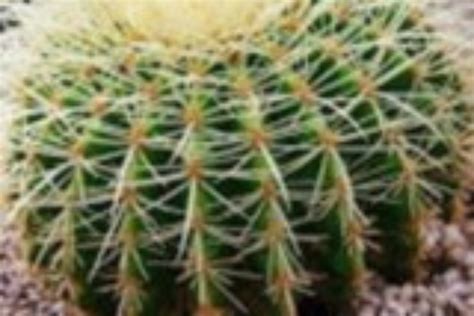 sunduk - Asset Store