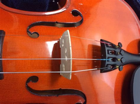Emedia My Violin Starter Pack Strings And Bridge Setup