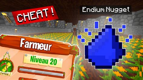 LEVEL 20 FARMEUR Et ENDIUM NUGGET Episode 26 Paladium V7 5 YouTube