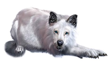 Yes Dire Wolves Were Real And They Were Terrifying