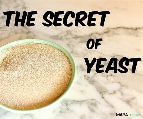 Secret of Yeast : 5 Steps (with Pictures) - Instructables