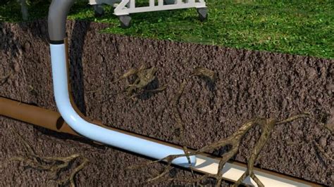 Recognizing The Signs Of Sewer Pipe Damage