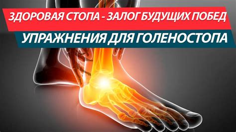 Упражнения для голеностопного сустава. Укрепление стопы и голени для ...