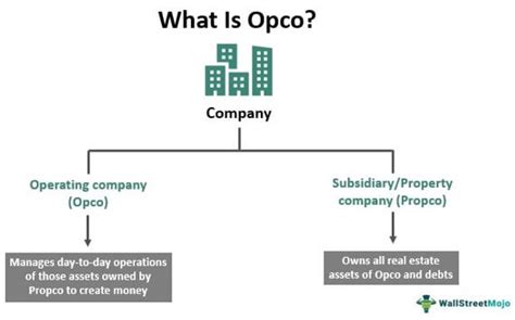 Opco Operating Company Meaning Example Structure