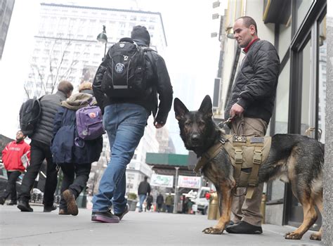 Merchants are divided as canal st nyc face new regulations 13
