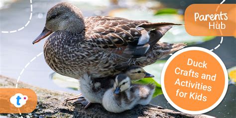 Duck Crafts and Activities for Kids - Twinkl