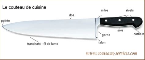 Les Couteaux Types Formes Anatomie