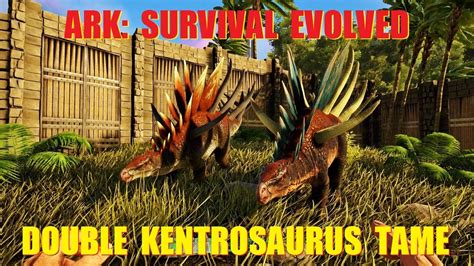 Ark Survival Evolved Kentrosaurus Tame Youtube