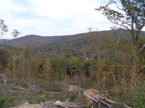East Tennessee Land for Sale: Market Insights from Landwatch 16