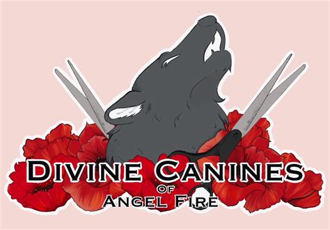 divine canine groomingboard angel fires  luxurious pet salon