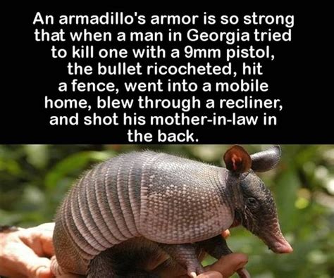 Interesting Random Facts Part 2 Others